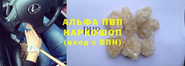 гидра Шали