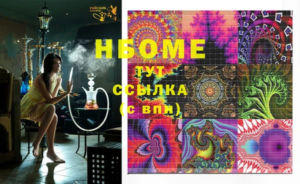 эйфоретик Чегем