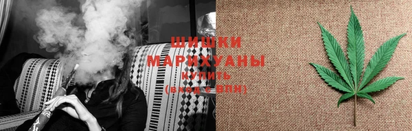 сатива Вяземский