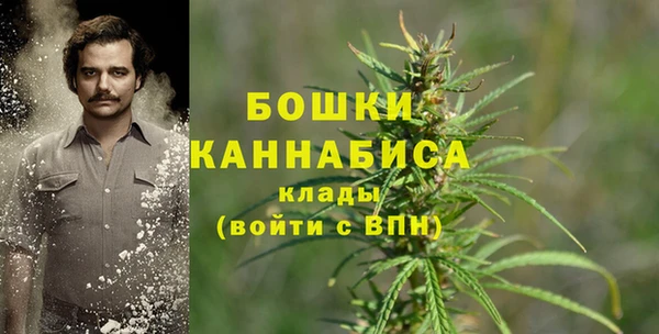 сатива Вяземский