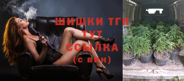 прущие грибы Чердынь