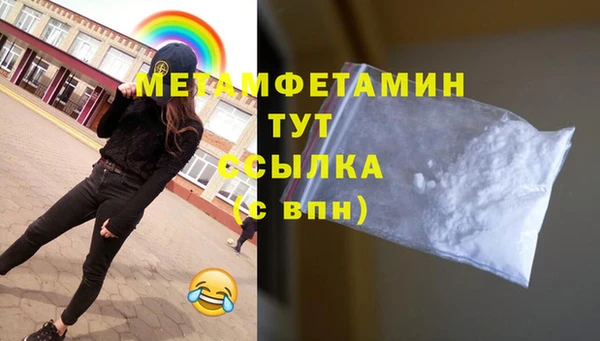 сатива Вяземский